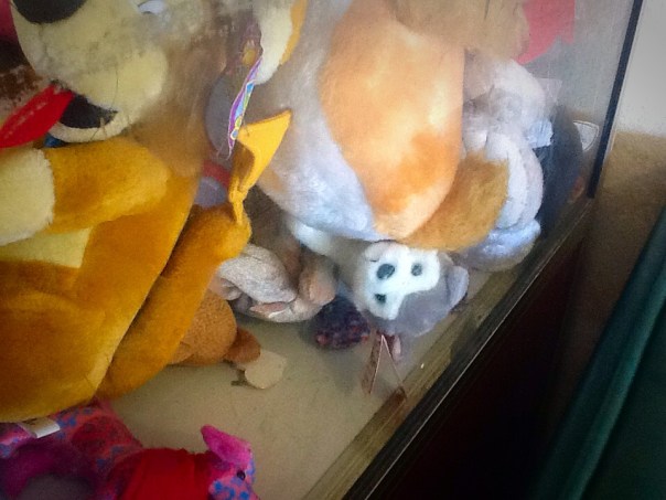 This poor pup stuck under the pile